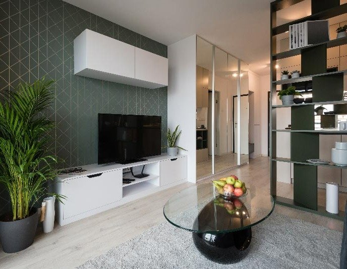 Meuble salon living Hirson Vervins 02